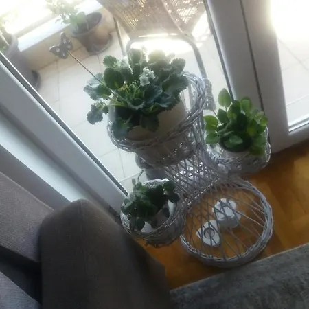 Apartment агни Vrnjačka Banja